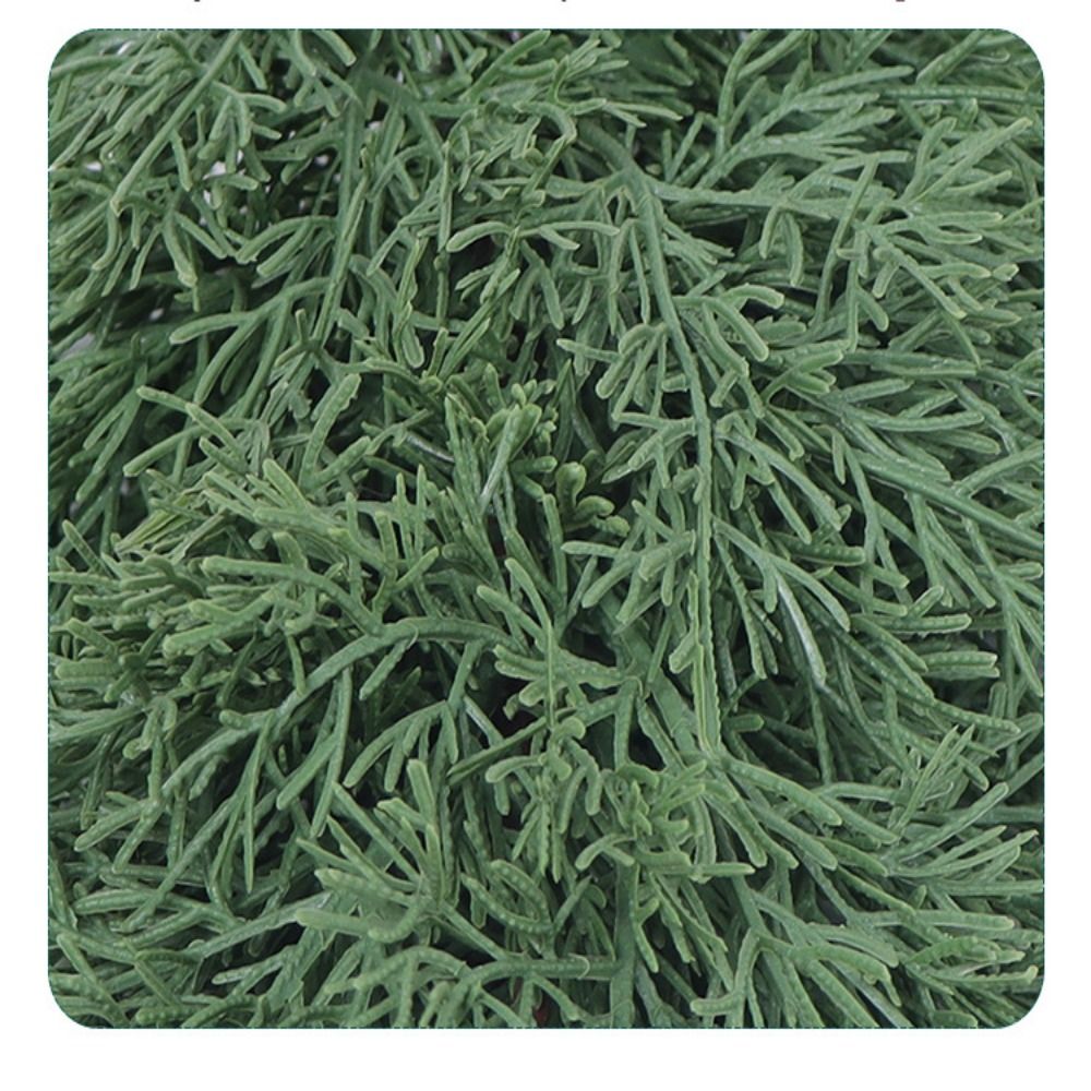 Green Artificial Pine Branch C - Christmas Tree Artificial 评论和价格